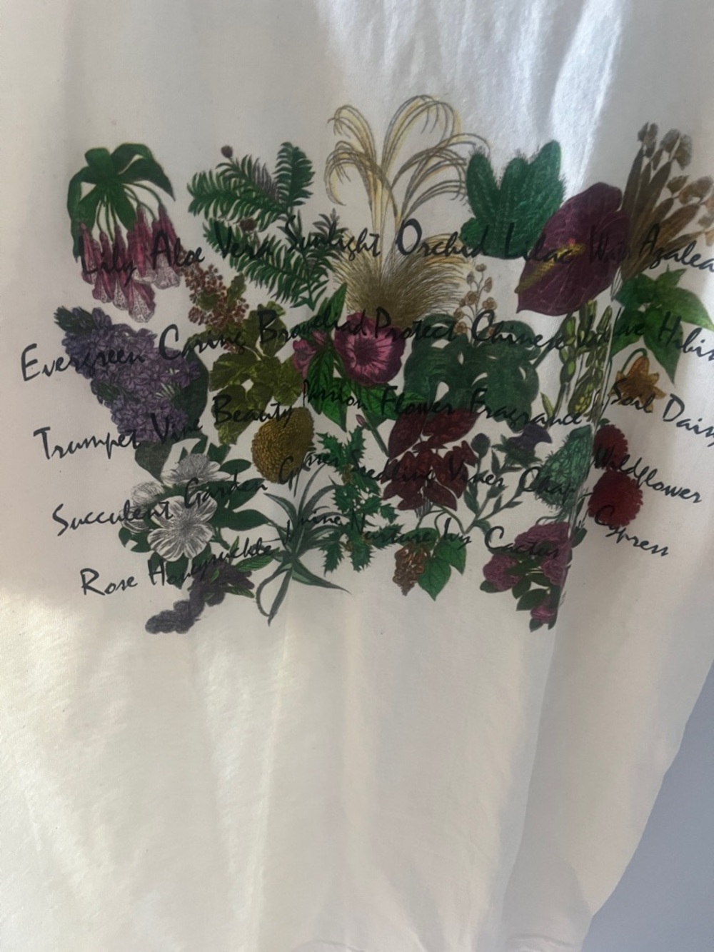 NWT Maze Vintage Floral Graphic Tee Size L - Picture 4 of 6